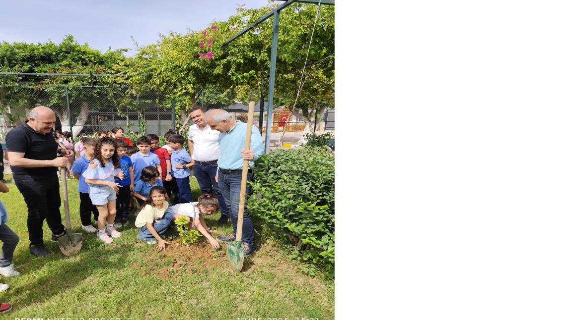 Sosyal sorumluluk kulübümüzün Okulumuza Fidan Seçme ve Dikme Etkinliği.